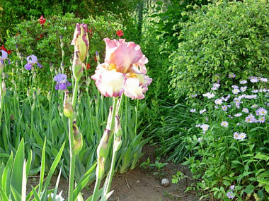 060603.jpg