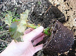 070411-2.jpg