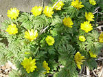 070411-4.jpg