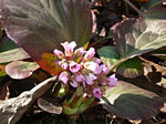 070411-6.jpg